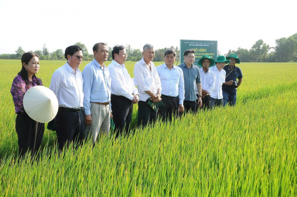 Sản xuất xanh để giảm ô nhiễm, tăng lợi nhuận -0
