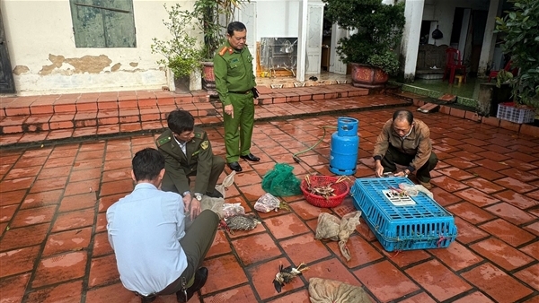 Phương thức, thủ đoạn mua bán, tiêu thụ động vật hoang dã (bài 1)