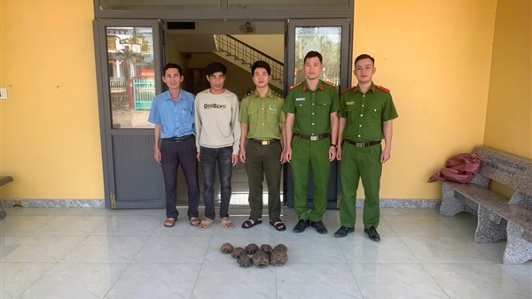 Người dân giao nộp 8 cá thể rùa quý hiếm sau khi nhặt được trên đường