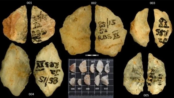 60.000 năm trước đã có vũ khí tẩm độc