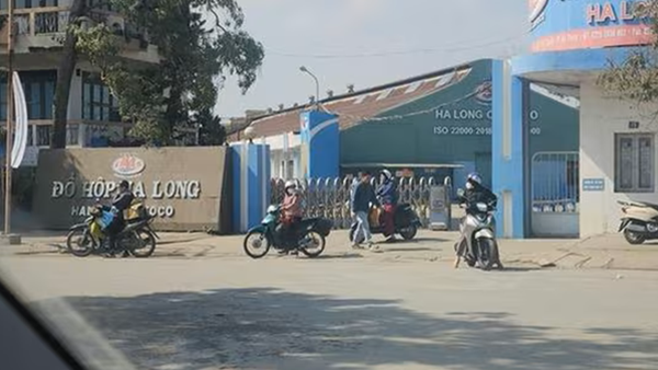 Bị ngừng việc, người lao động Công ty đồ hộp Hạ Long được hưởng chế độ ra sao?