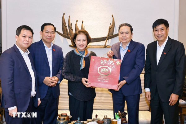 Chủ tịch Quốc hội Trần Thanh Mẫn thăm, tri ân nguyên lãnh đạo Đảng, Nhà nước -0