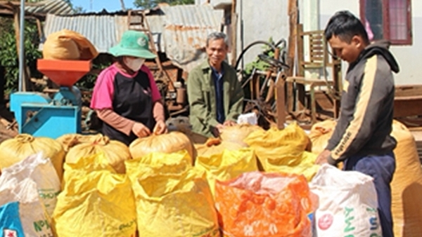 Bài cuối: Tiếng gọi quê nhà khi Tết đến xuân về!