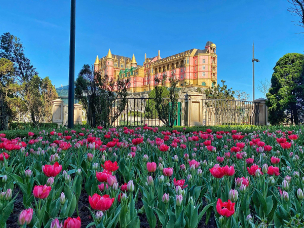 Hàng nghìn du khách đón Tết Bính Ngọ cùng hơn triệu bông tulip tại Sun World Ba Na Hills -0