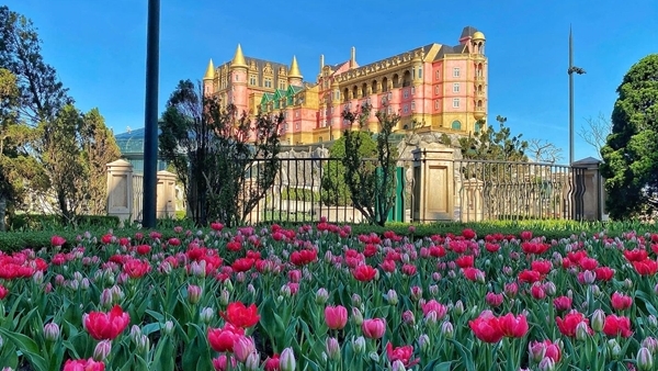 Hàng nghìn du khách đón Tết Bính Ngọ cùng hơn triệu bông tulip tại Sun World Ba Na Hills