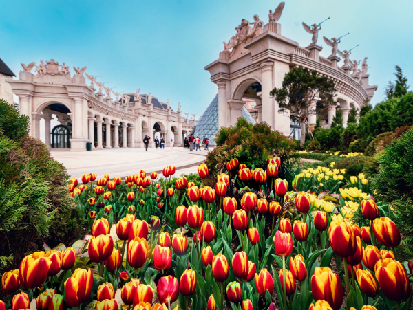 Hàng nghìn du khách đón Tết Bính Ngọ cùng hơn triệu bông tulip tại Sun World Ba Na Hills -0