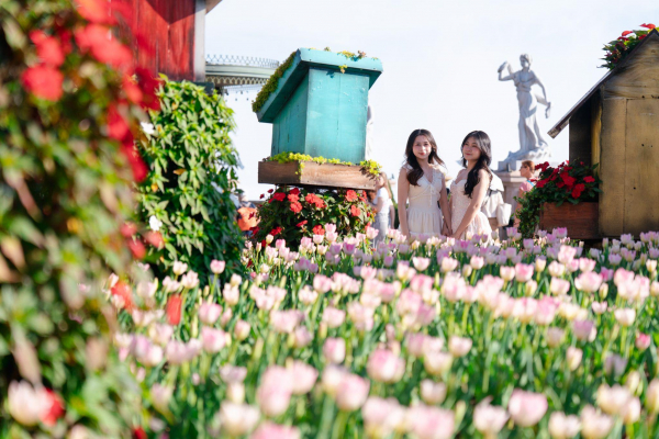 Hàng nghìn du khách đón Tết Bính Ngọ cùng hơn triệu bông tulip tại Sun World Ba Na Hills -0
