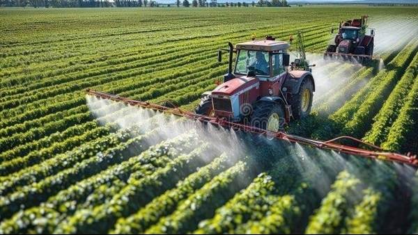 Từ những vườn trái chín tới ước mơ làm nông sản xanh