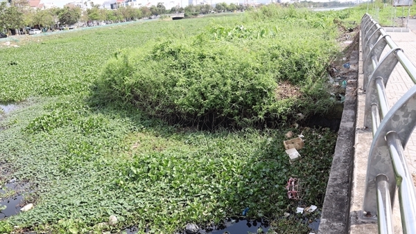 Nhếch nhác tại công trình trăm tỷ "nhiều tai tiếng" ở Cần Thơ