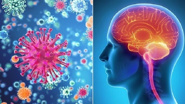 Từ vụ bé gái tử vong do viêm não mô cầu, tăng cường phòng bệnh bằng vaccine