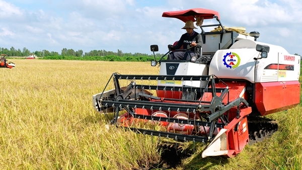 Tận dụng FTA, đẩy mạnh xuất khẩu gạo vào thị trường giá trị cao