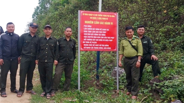 Đà Nẵng chủ động phòng, chống cháy rừng mùa nắng nóng