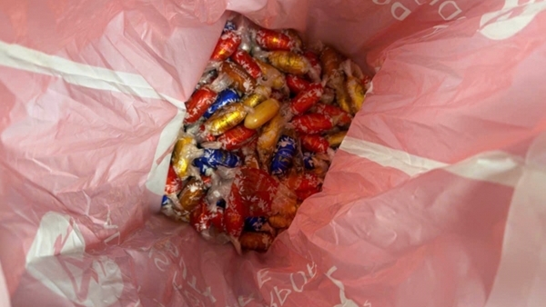 Ma túy “đội lốt” kẹo, bim bim: Thủ đoạn ngày càng tinh vi, hậu quả càng lớn