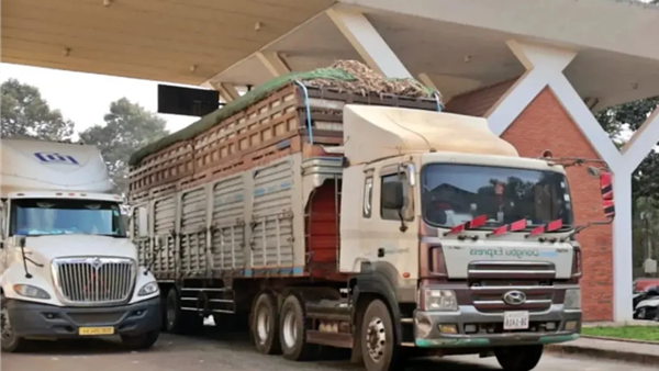 Chính thức tạm ngưng hiệu lực thi hành Nghị định 46 về an toàn thực phẩm