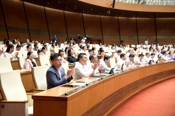 Quốc hội thông qua Nghị quyết về thuế bảo vệ môi trường, thuế giá trị gia tăng, thuế tiêu thụ đặc biệt đối với xăng, dầu và nhiên liệu bay -2