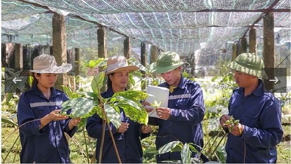 Định hình con đường dược liệu Việt: Tư duy chiến lược của Anh hùng Lao động Thái Hương