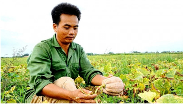 Vốn ngân hàng “thay áo” những vùng quê -0