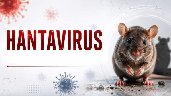 Bộ Y tế lên tiếng về virus Hanta đang lây lan trên tàu du lịch quốc tế -0