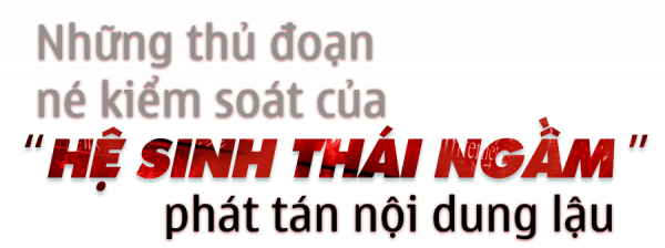 Dẹp nạn ăn cắp bản quyền trên không gian số: Ma trận “đen” web lậu (bài 2) -0