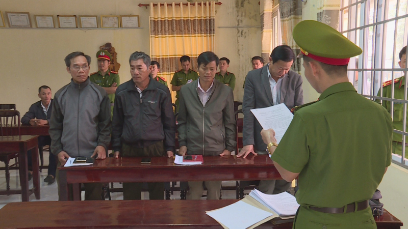 Để rừng bị tàn phá, giám đốc cùng 8 thuộc cấp dính vào lao lý -0