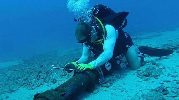 AAG undersea cable fixed, restoring internet speed in Vietnam -0