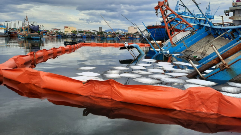 Đà Nẵng tất cả tàu cá phải để ít nhất 1 người có kết quả âm tính với SARS-CoV-2 trông giữ -1