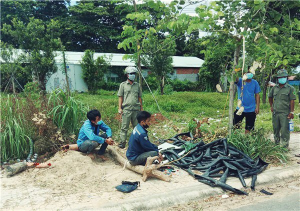 Rủ nhau đi cắt trộm cáp ngầm trong thời gian giãn cách -0