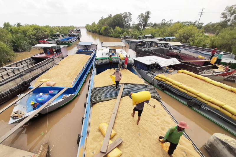 Đề xuất liên kết các tỉnh, thành Nam sông Hậu để phòng, chống dịch -0