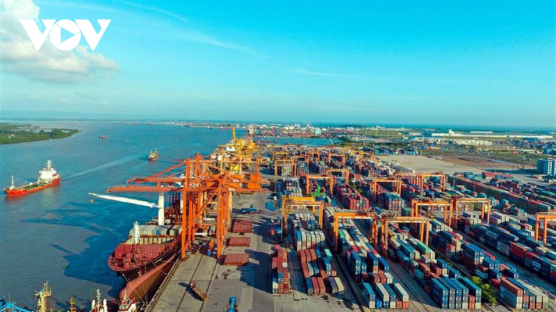 Logistics connectivity through e-commerce eases difficulties for firms amid COVID-19 -0