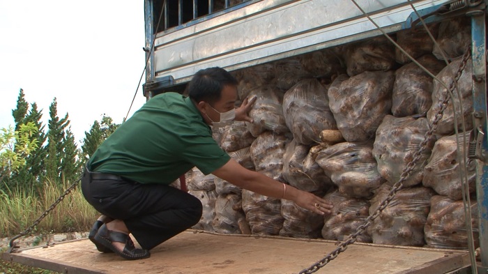 Xuyên đêm vận chuyển 500 tấn rau Đà Lạt ra Đà Nẵng -0