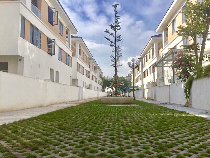 Biệt thự thương mại hiếm hoi sở hữu phố dạo bộ sinh thái ở mặt sau -0