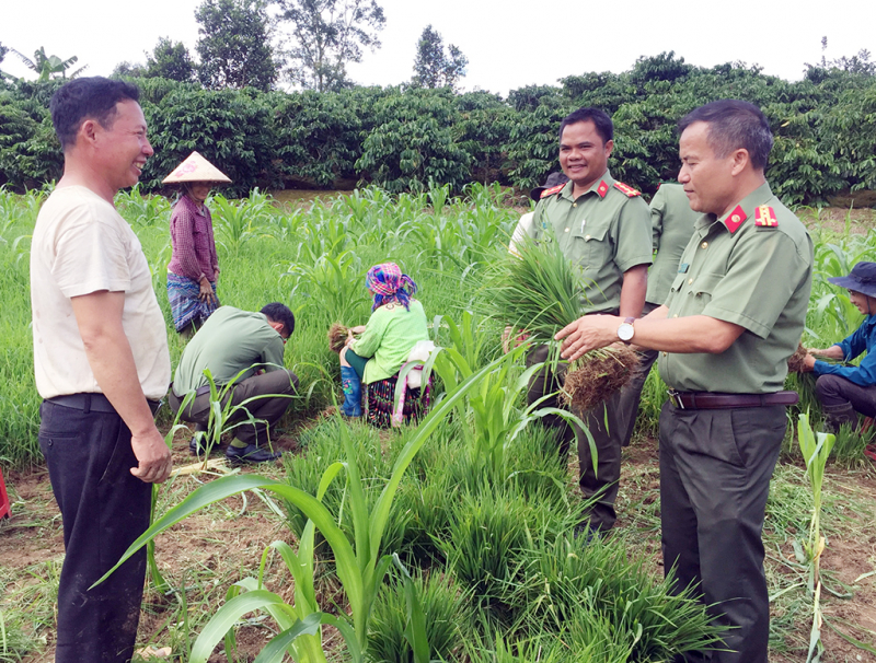 CANDDB-41-Trận tuyến an ninh thầm lặng ở Tây Nguyên -0