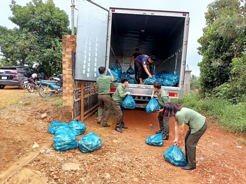 hình 1 vận chuyển 3.jpg -0