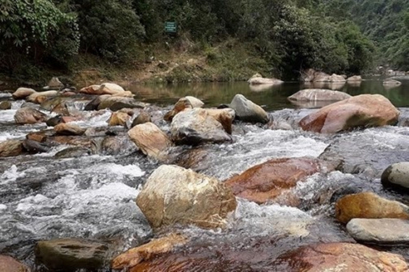 Người đàn ông tử vong bên bờ suối nghi bị người tình sát hại -0