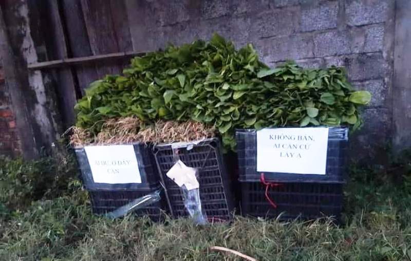 Cách làm hay cần nhân rộng việc đảm bảo lương thực thực phẩm cho người dân trong vùng dịch  -0