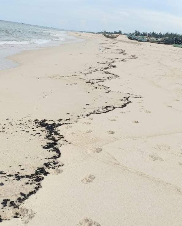 Vụ dầu loang ở bãi biển Quảng Bình đề nghị Cục Hàng Hải thuộc Bộ GTVT xác minh -0