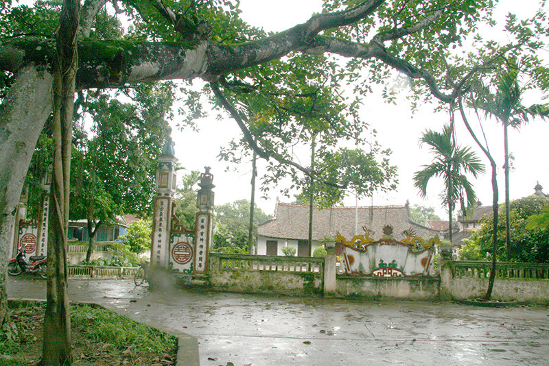 40 năm tìm lại chiếc gậy Trường Sơn -0