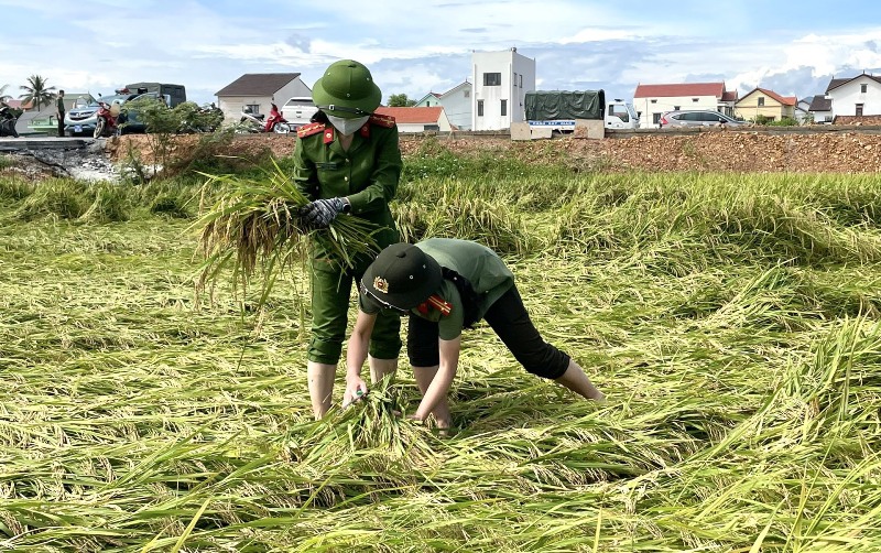 Công an giúp dân thu hoạch lúa trong vùng dịch -0