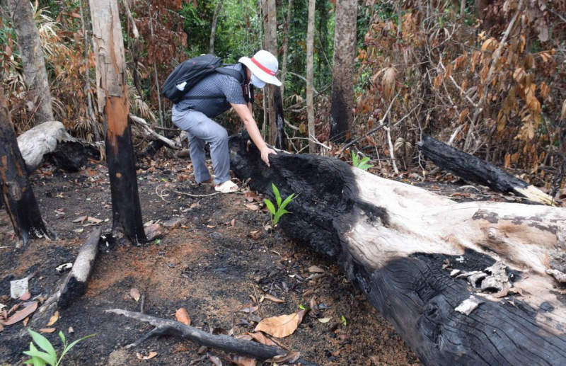 Tạm đình chỉ công tác Phó Giám đốc Ban Quản lý rừng phòng hộ Sơn Hòa -0