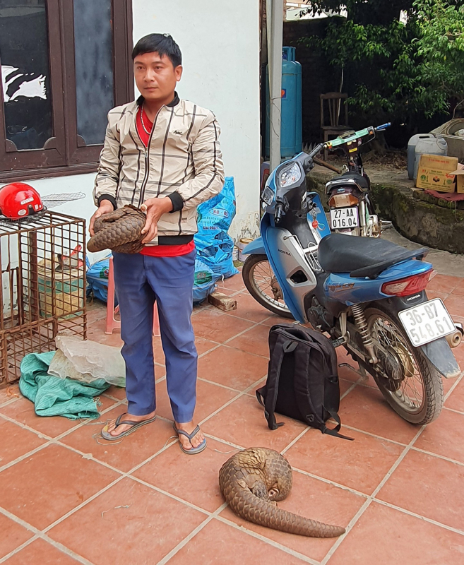 Phi vụ vận chuyển tê tê bất thành -0