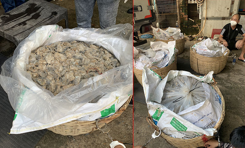 Triệt phá đường dây buôn bán ma túy khối lượng lớn -0