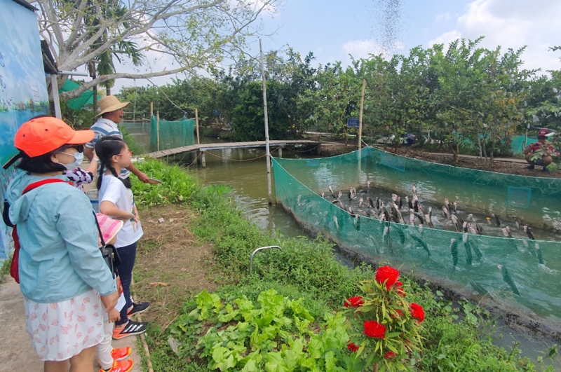 Cần Thơ thu hồi dự án khu du lịch hơn 1.500 tỷ ở Cồn Sơn -0