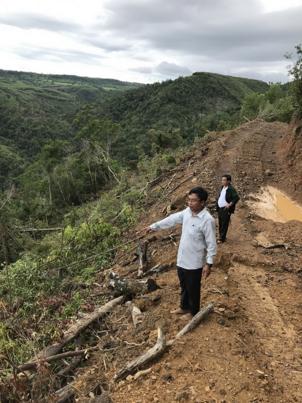 Phát hiện thêm khoảng 10 ha rừng ở Hòn Đót, huyện Sơn Hòa (Phú Yên) bị đốn hạ -0