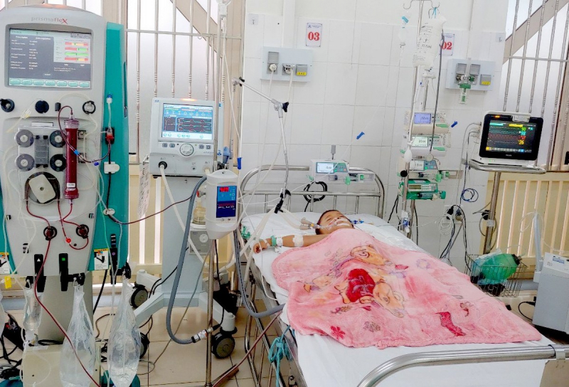 Cứu sống cháu bé 5 tuổi nguy kịch tính mạng do ong đốt -0