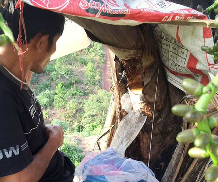 “Rượu trời” vùng biên viễn -0
