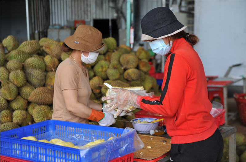 Đắk Lắk ghi nhận 42 ca mắc COVID-19 trong cộng đồng -0