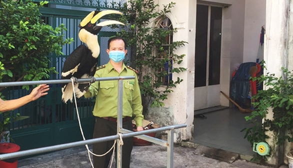 Nhiều người dân TP Hồ Chí Minh giao nộp các loại động vật quý hiếm giữa mùa dịch -0