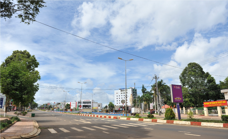 Đắk Lắk huy động tổng lực để dập nhanh 2 ổ dịch mới -0