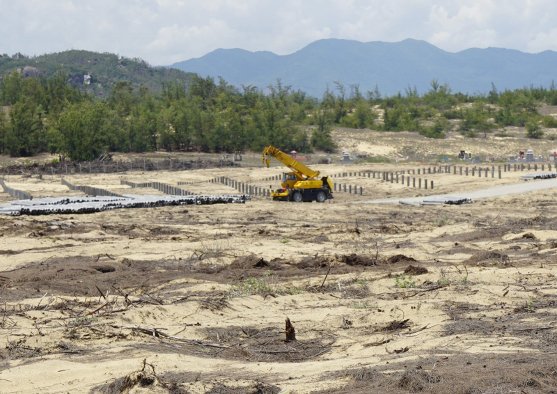 Đề xuất xử phạt 60-150 triệu đồng công ty “cưa nhầm” hơn 5 héc ta rừng phòng hộ -0