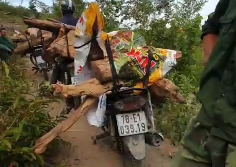 Những bất cập trong công tác bảo vệ rừng ở Ea Sô -0